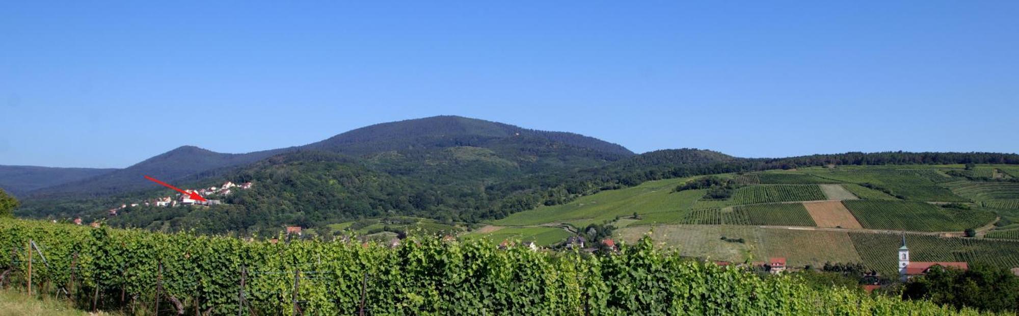 Villa Alsace Panorama Barr Esterno foto
