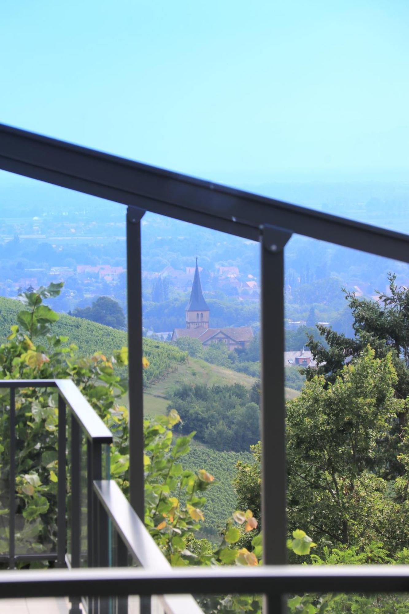 Villa Alsace Panorama Barr Esterno foto